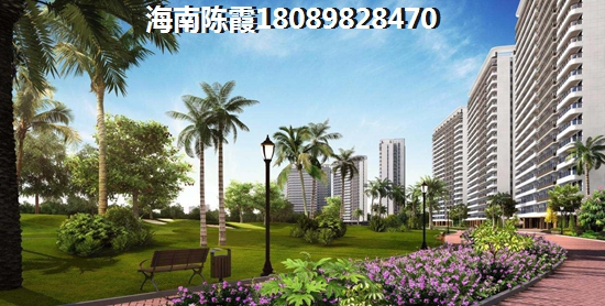 绥化哪个项目纸得买